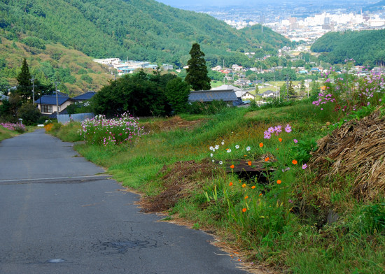 中山