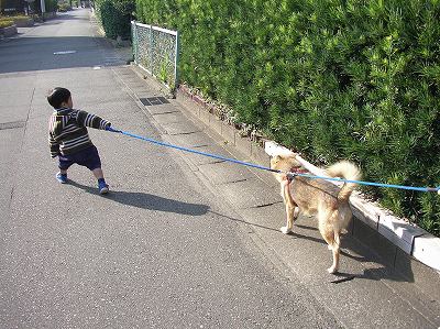 はやく、おいでぇ～