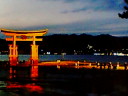 夜の朱鳥居