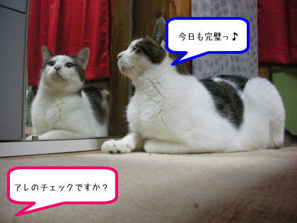 アレのチェック４.jpg