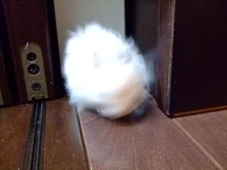 こう１