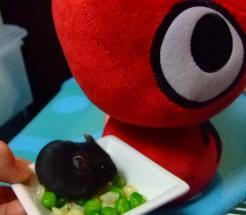 たんぱく１０