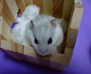 それで？２