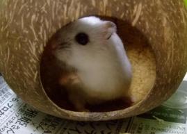 なにしてた？４