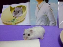 お仕置き４