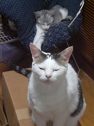 おいてきぼりだ～