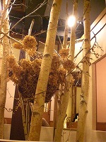 オブジェ？お飾り？