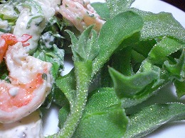 海老と焼きじゃがのサラダ