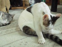 小梅の寝ている間に・・・