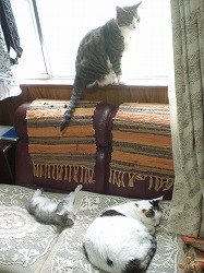 大人は無視？！