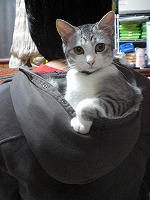 次男のフードは気持ちいい