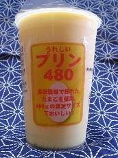 うれしいプリン４８０