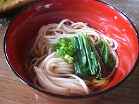 ひとぼっちのうどん
