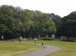 公園内