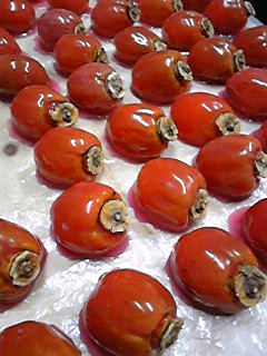 ごはん 849.jpg