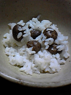 ごはん 699.jpg