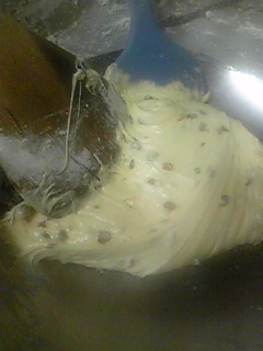 120109_172302.jpg
