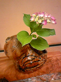 100601_200306.jpg