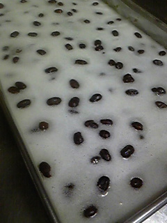 111226_004303.jpg