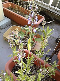 100509_173541.jpg