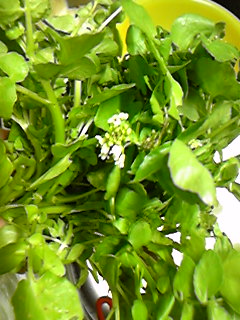 100612_171631.jpg