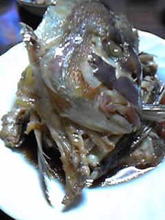 2009-02-25 20:39:48