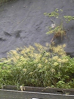 100915_123812.jpg