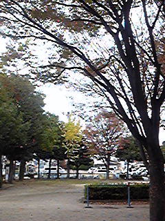 111123_094017.jpg