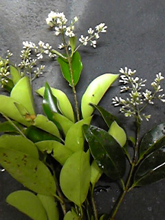 100602_221051.jpg