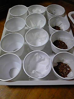 2009-04-23 01:40:58