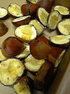 100910_100514.jpg