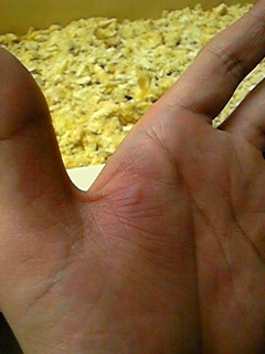 100910_165355.jpg