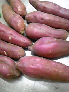 100927_140419.jpg