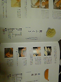 101122_170424.jpg