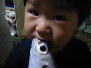 丸かじり