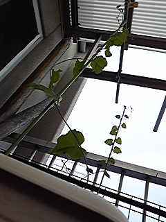 2009-06-15 00:16:11