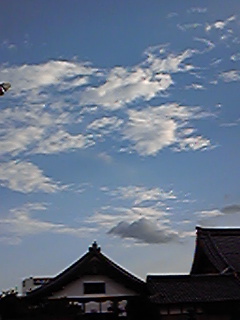 100806_170545.jpg