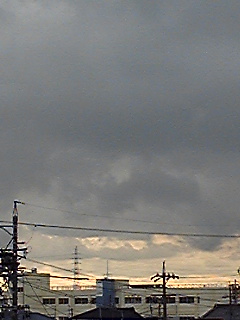 100810_120221.jpg
