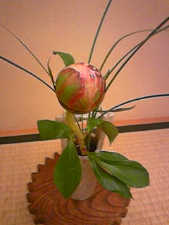 2009-06-04 20:20:02