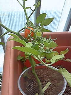 2009-05-29 22:48:49