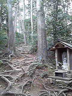 2009-03-11 14:42:02