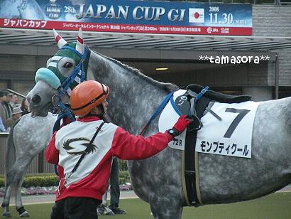モンプティクール♪♪2008.11.29.JPG
