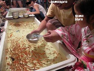画像 255.jpg