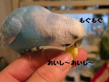 画像 733.jpg
