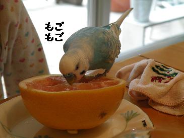 画像 730.jpg