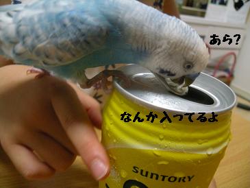 画像 266.jpg