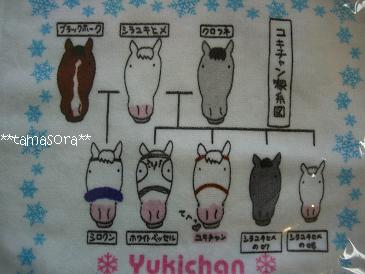 白毛の家系図♪2009.1.18.JPG