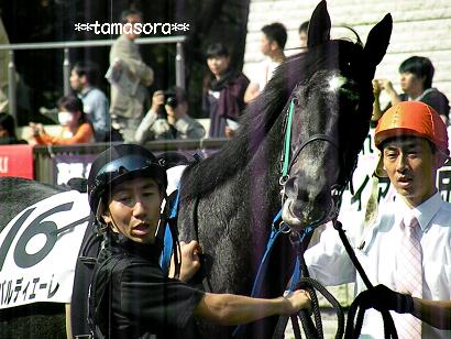 ボンバルディエーレ♪♪2008．10.JPG