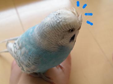 画像 649.jpg