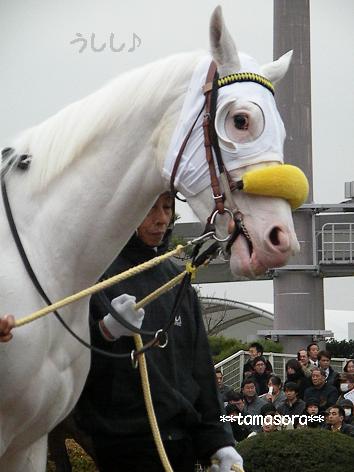 ユキチャン、うしし♪2009.1.21.JPG